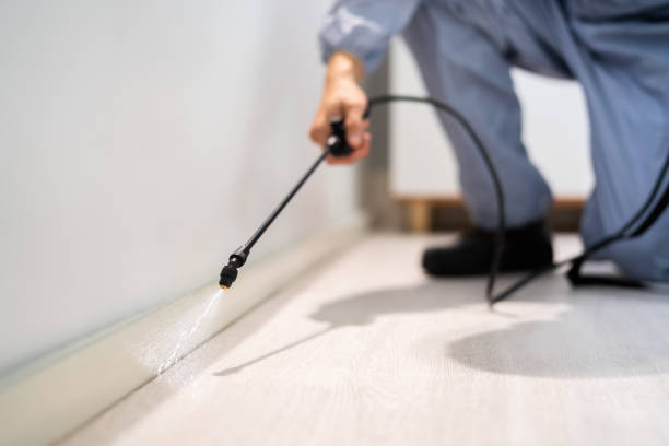 Licensed Pest Control service in Benjamin, UT - Show Me Pest Control