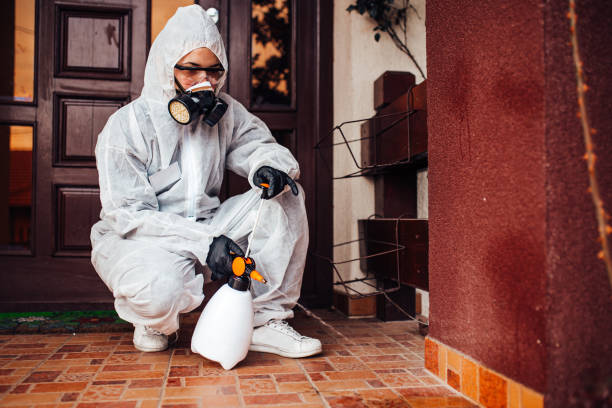 Reliable Wasp Removal contractor in Benjamin, UT by Show Me Pest Control